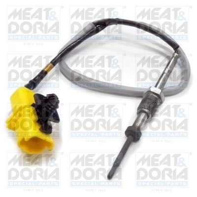 Sensor, exhaust gas temperature